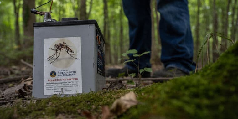 Deadly EEE Virus Explodes in NYC: One Death, 15 Counties Affected