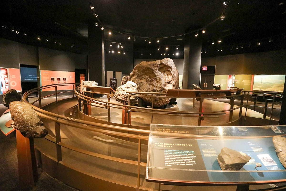 American Museum of Natural History