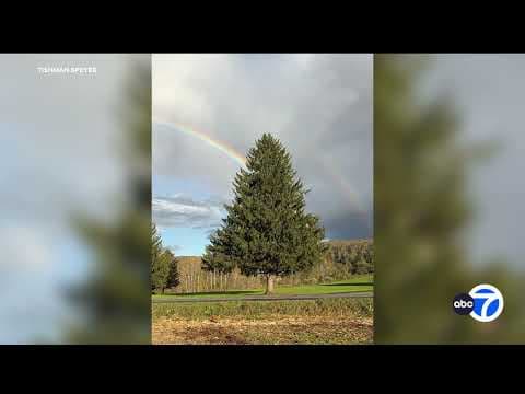 Video: Rockefeller Center reveals its 2026 Christmas tree from West Edmeston, N.Y.