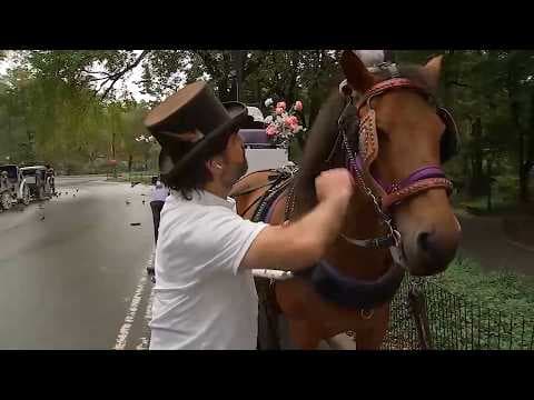 Video: NYC Council passes law to phase out horse-drawn carriages by 2028