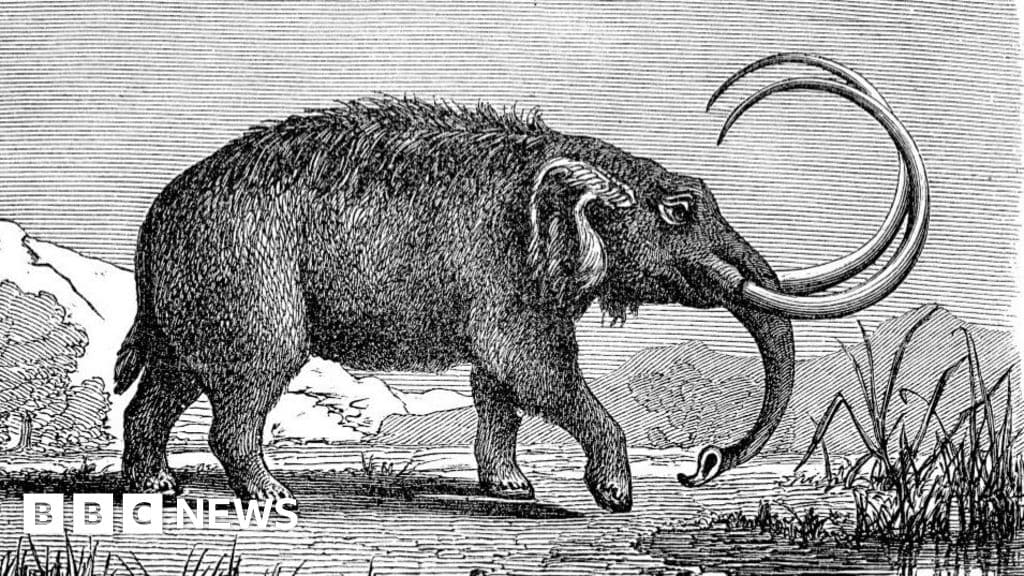 NY Homeowner's Backyard Yields Incredible Ice Age Discovery!