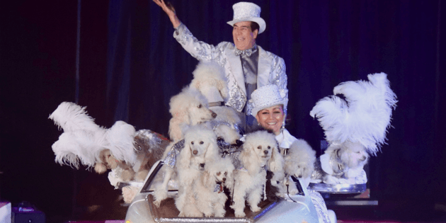 The Big Apple Circus is Back! Celebrating NYC with Poodles and More