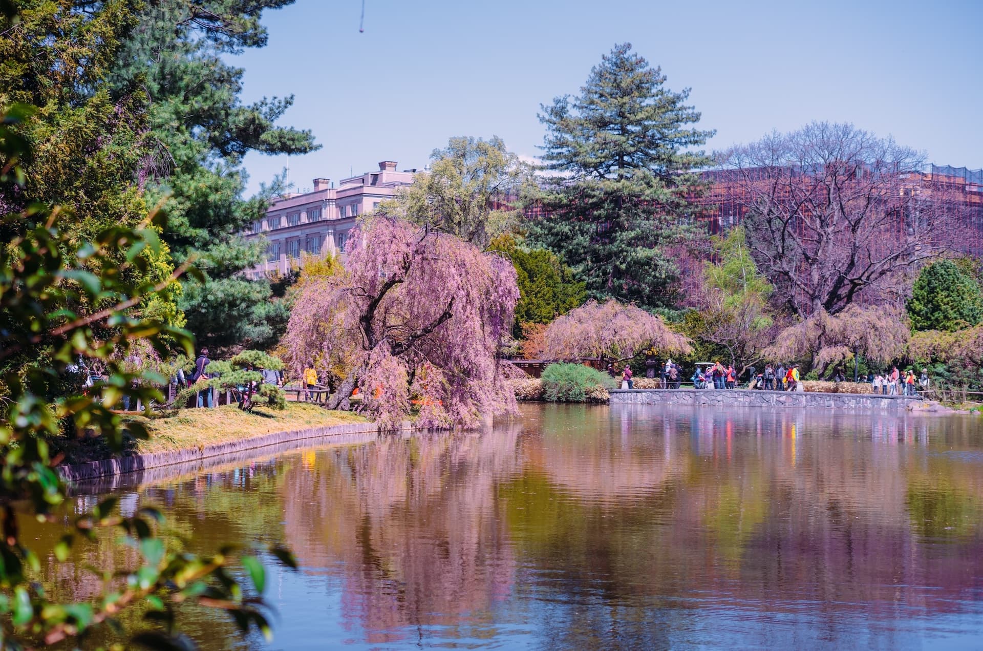 Brooklyn Botanic Garden: One of the World's Most Beautiful Gardens - NewYorkNews.com
