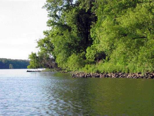 Own a Private Island in Upstate NY for Under $1 Million!