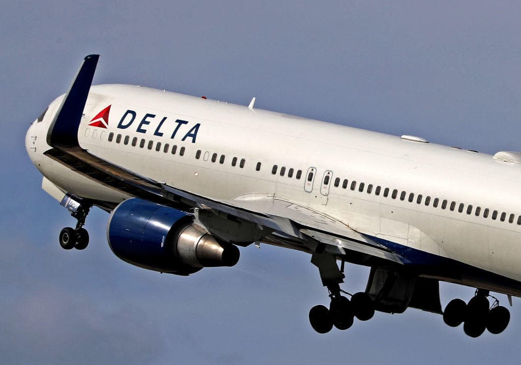 NYC Stowaway Sneaks Onto Delta Flight to Paris: How Did She Do It?