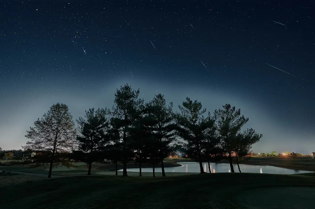 Several meteor streaks cross a starry night sky above a line of trees and a pond, with the constellation Orion visible at upper left
