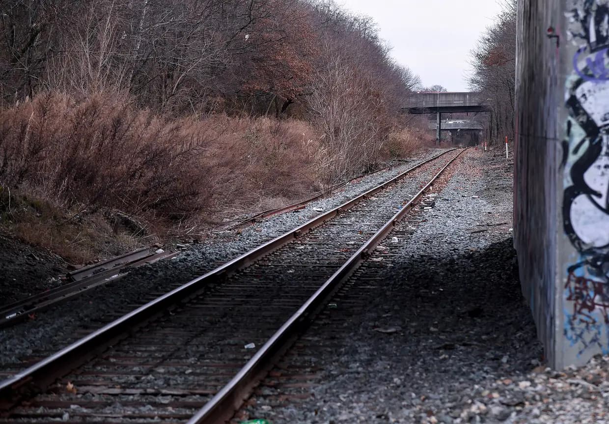 Freight tracks running through a sunken rail cut beneath a road bridge along the planned Interborough Express route
