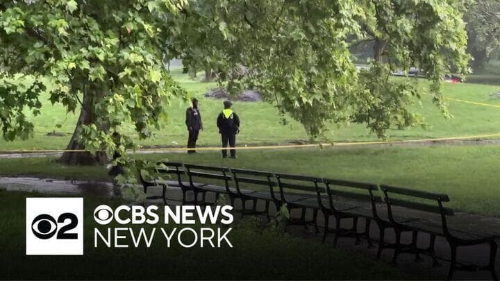 Lightning strike in Central Park