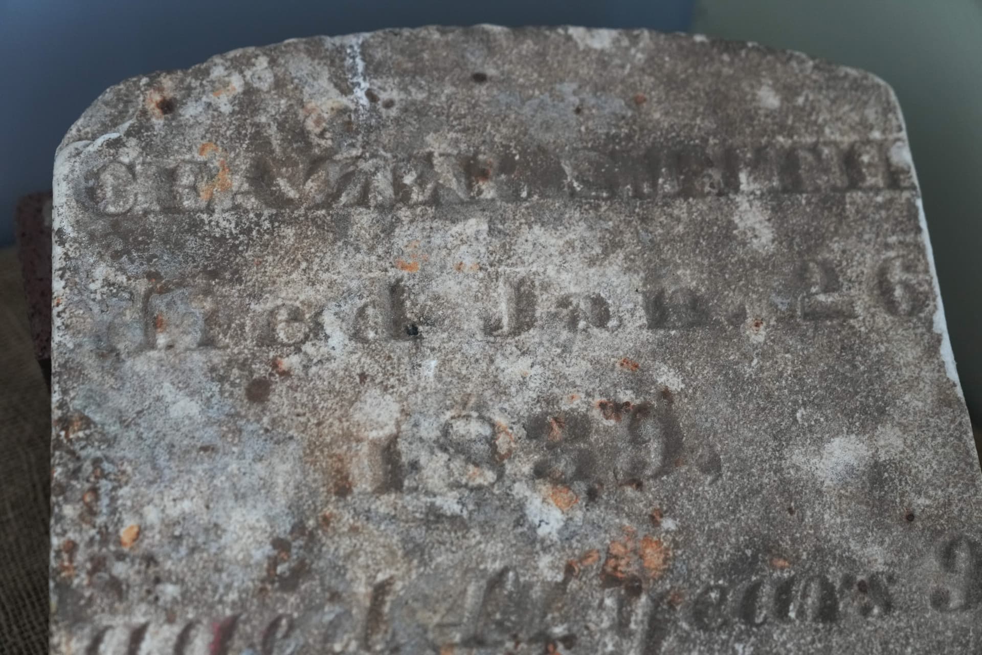 Forgotten Cemetery for Enslaved People Found in New York, Revealing a Lost History