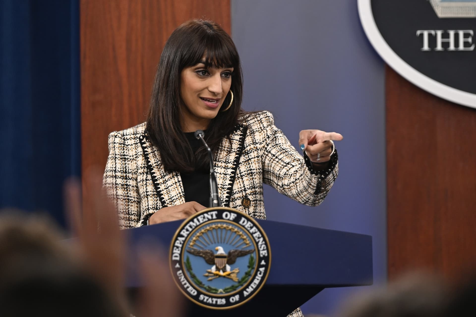 Pentagon Deputy Press Secretary Sabrina Singh