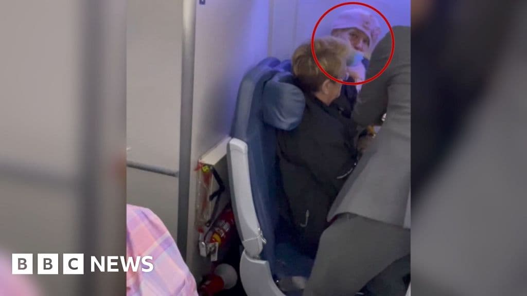 NYC Stowaway Caught! Russian Woman Faces Jail Time After Sneaking Onto Paris Flight