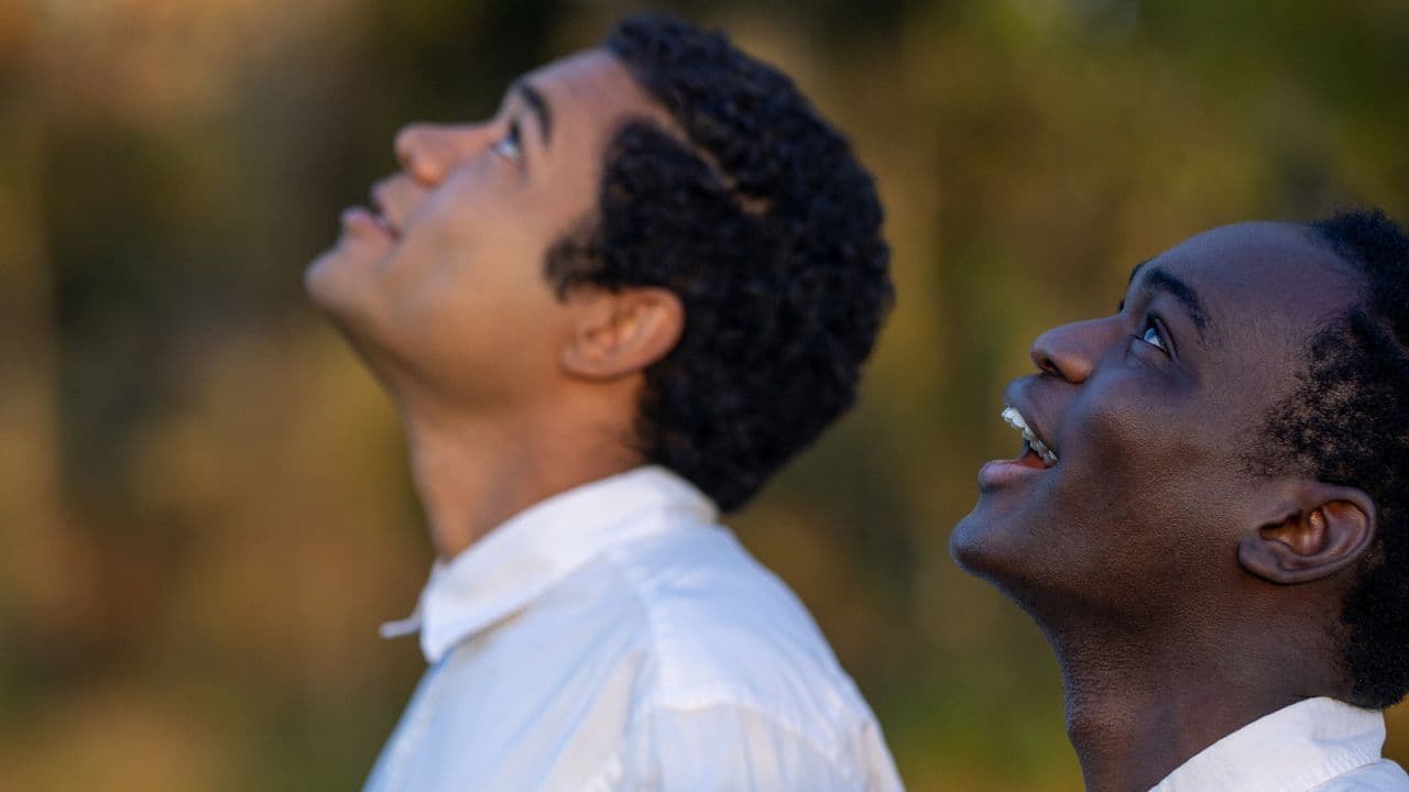 New York Film Festival 2024: Must-See Movies in the First Week