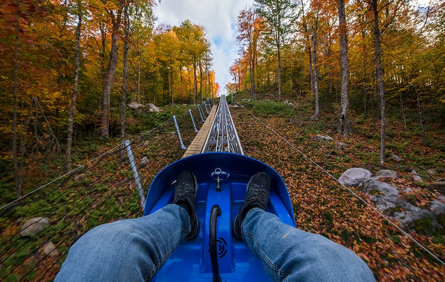 Cliffside Coaster