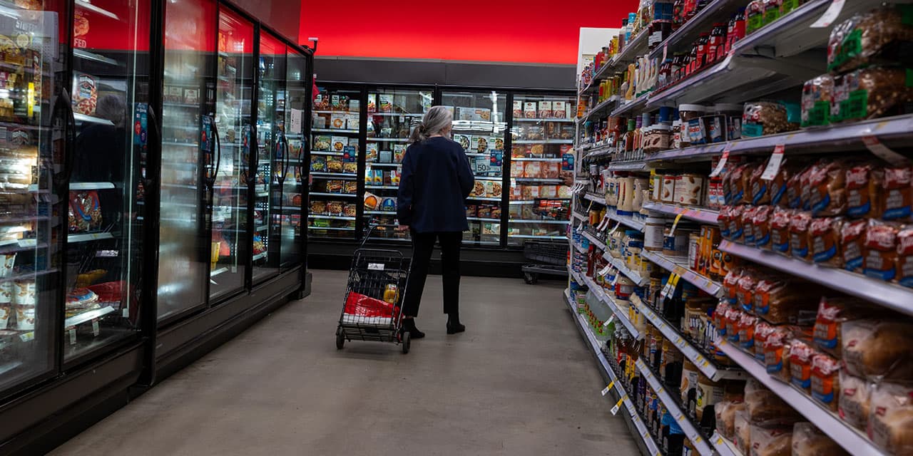 Can City-Owned Grocery Stores Thrive Amid NYC's Shoplifting Crisis?