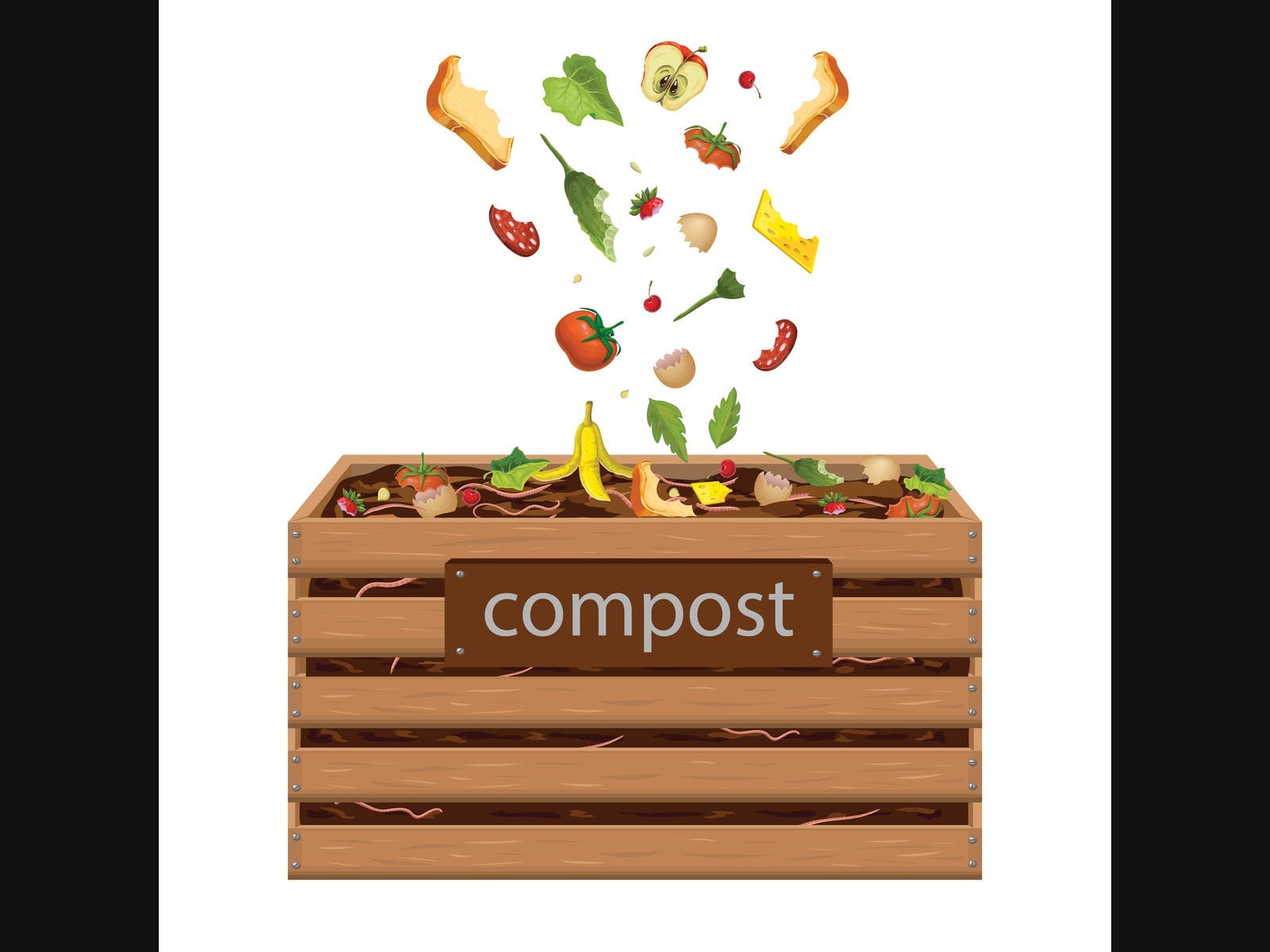 NYC's Big Compost Rollout: What You Need to Know