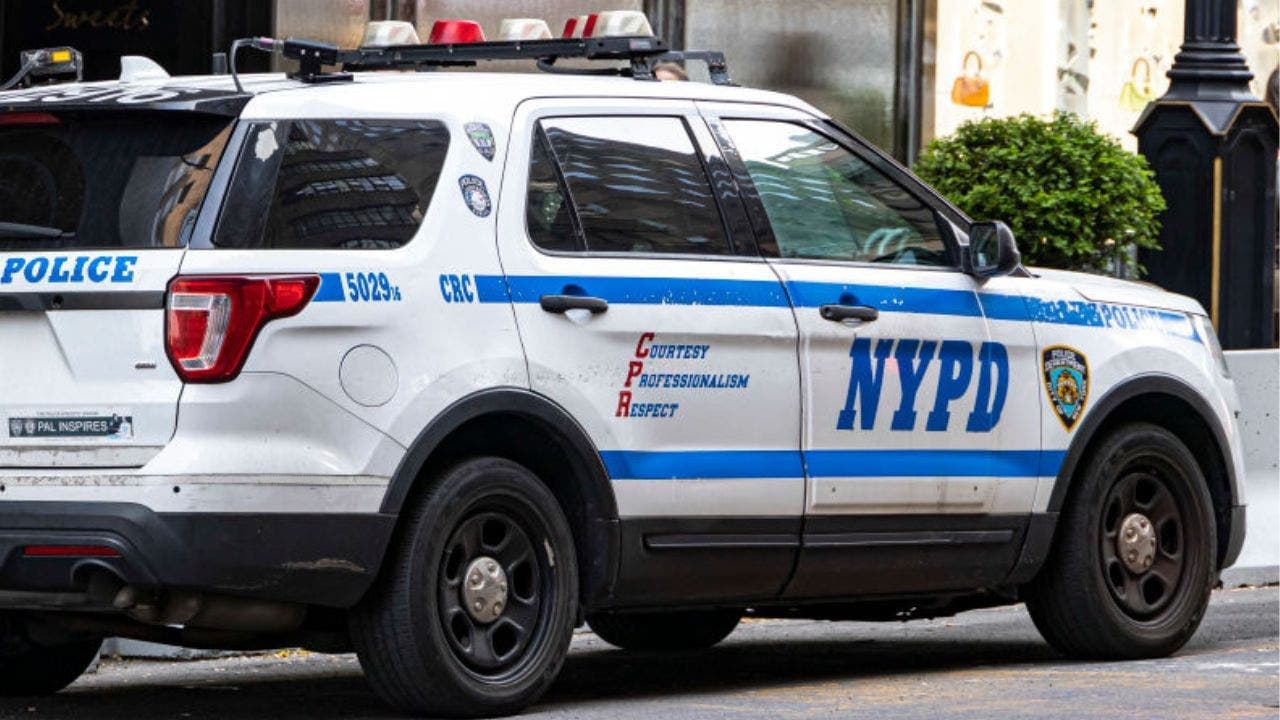 NY Police Traffic Stop Ban: A Controversial Proposal for Racial Equity?