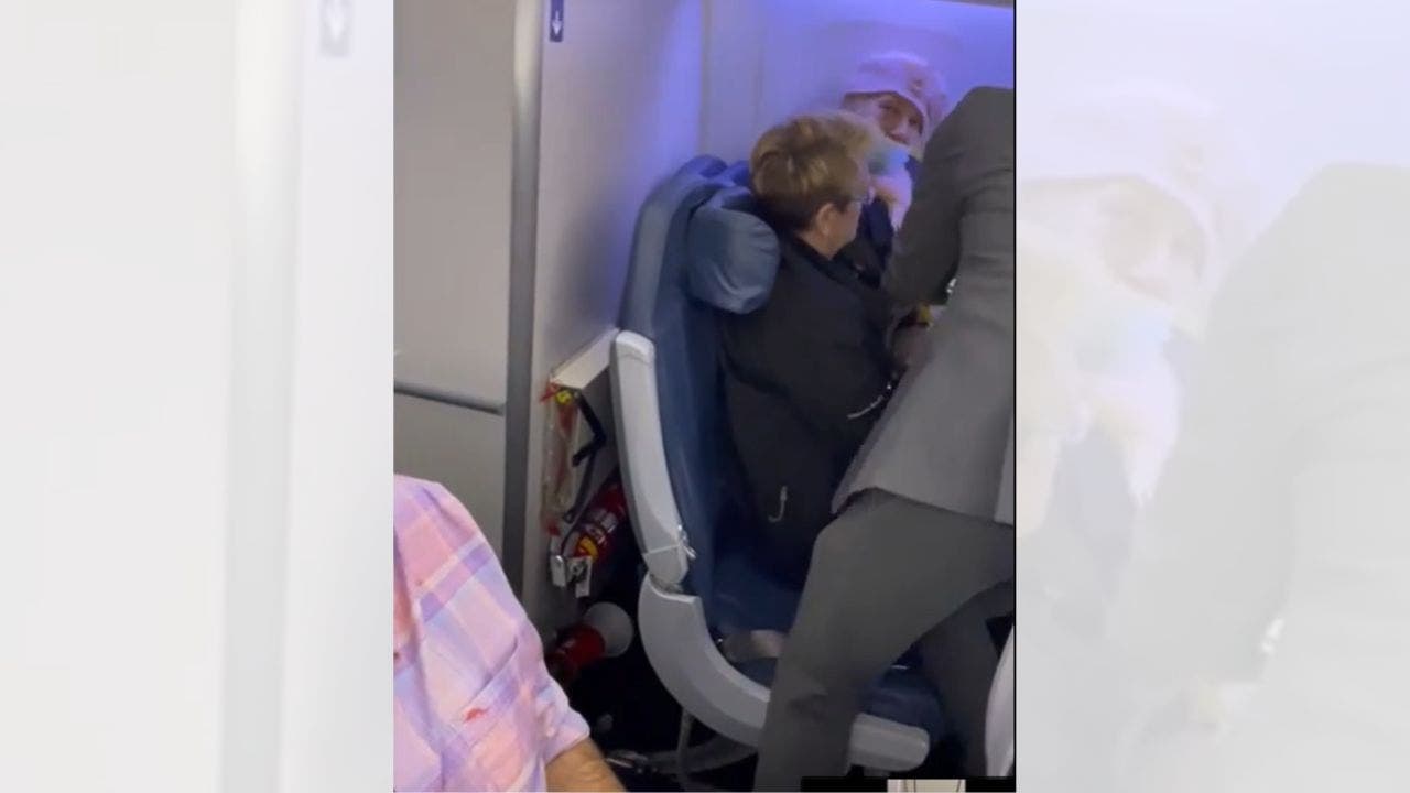 Russian Woman Apprehended by FBI After JFK Stowaway Incident