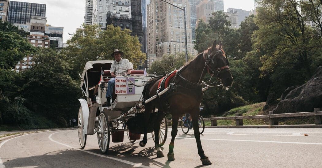 NYC Mayor Adams Wants to Ban Horse-Drawn Carriages in Central Park!